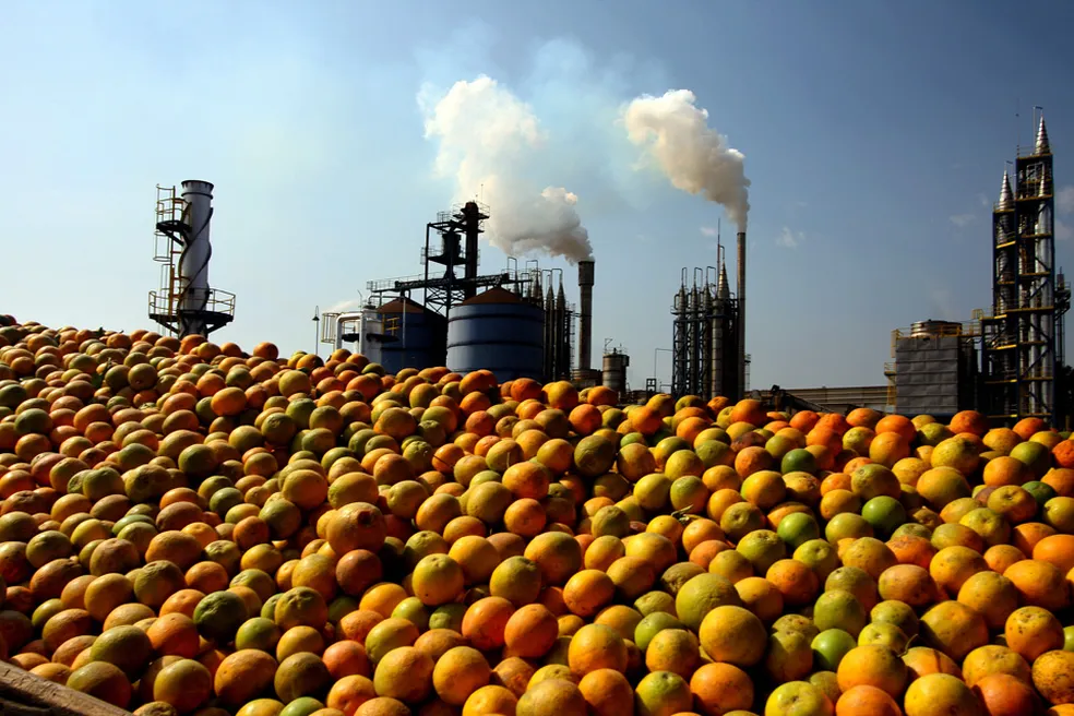 O agro não pode arcar por retaliações sem diálogo , diz especialista